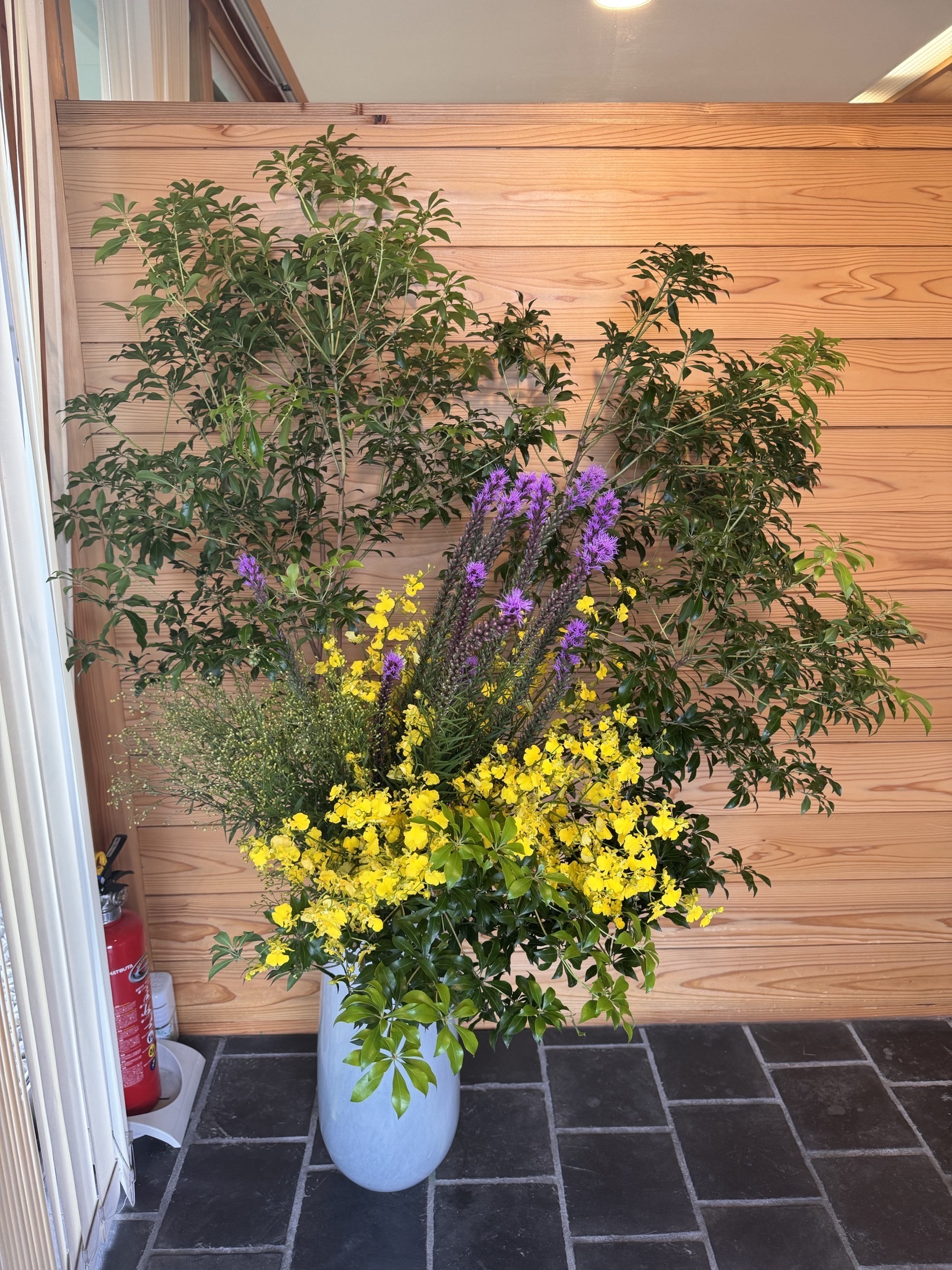 今週のお花