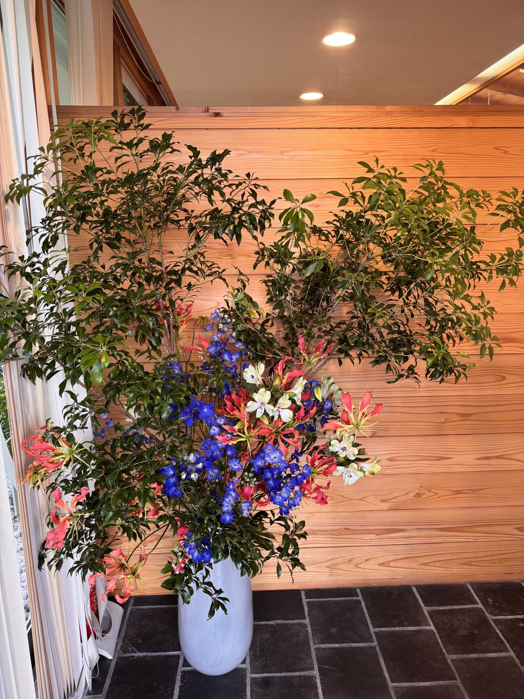 今週のお花